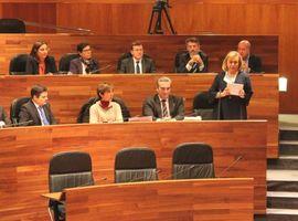 El PP reprocha a Javier Fernández su dedicación al PSOE