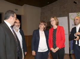 Asturias crea el Observatorio de Servicios Sociales para informar sobre los servicios que presta