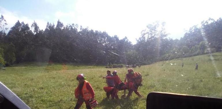 Herido ganadero de Bozanes truñado por una vaca