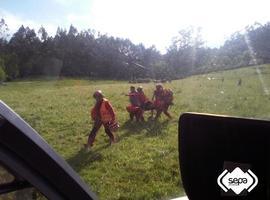 Herido ganadero de Bozanes truñado por una vaca