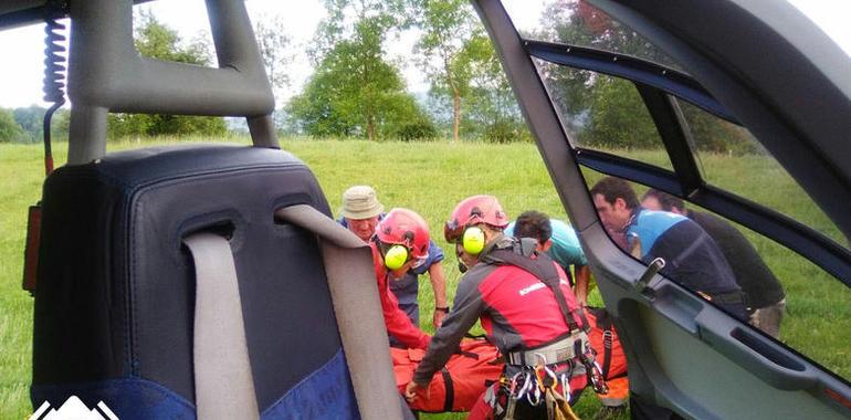 Herido en Nava tras ser embestido por una vaca