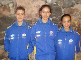 Asturias en el Campeonato de España de Patinaje Artístico