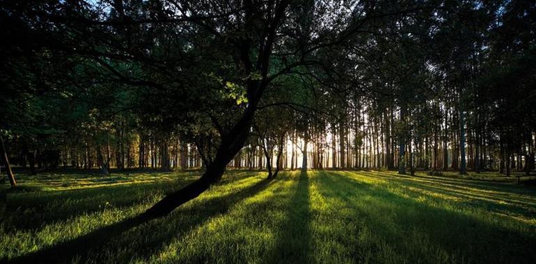 Constitución de la Alianza Europea para la Investigación en Clima