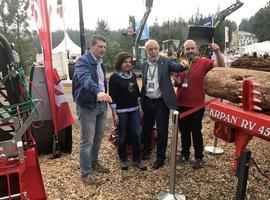 Asturforesta luz el monte como clave en el desarrollo de Asturias
