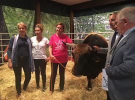 La Asturias rural mantiene San Antón en la feria gijonesa