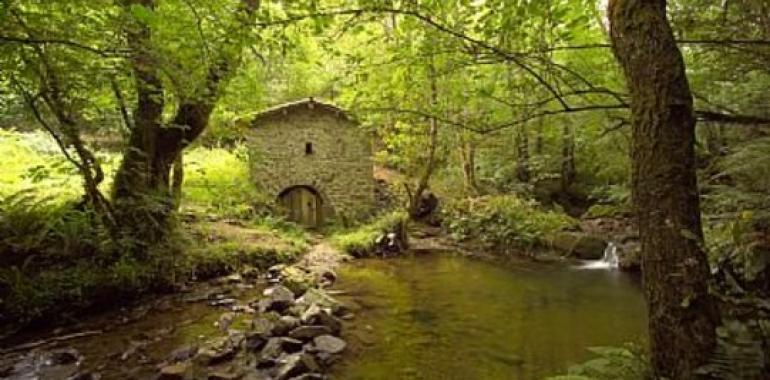 Escolinos por la Senda de los Molinos de Bimenes