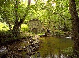 Escolinos por la Senda de los Molinos de Bimenes