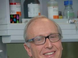Álvarez Margaride a la Trayectoria Empresarial para Luis Fernández-Vega Sanz
