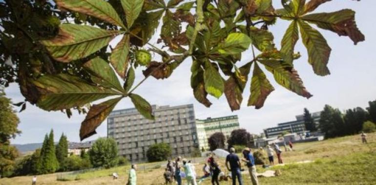 Vecinos piden al Ayuntamiento que ande en el parque del viejo HUCA