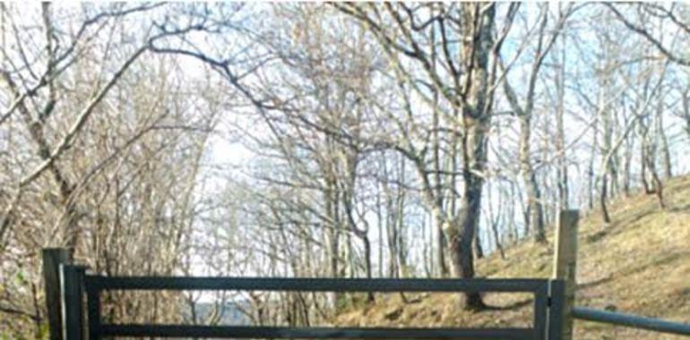 Casi 13 mil € meyoren el camín de Viga del Carru en Amieva