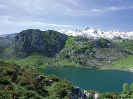 Comienzan las visitas guiadas gratuitas por Picos de Europa