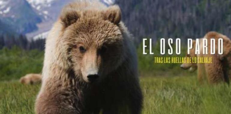 Apoya el documental sobre la superviviencia del Oso Pardo
