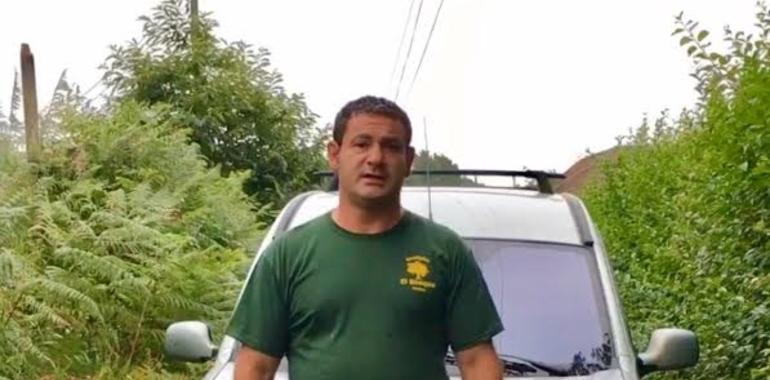 El ´Zoo de Oviedo pide al Ayuntamiento desbrozar la selva en su acceso