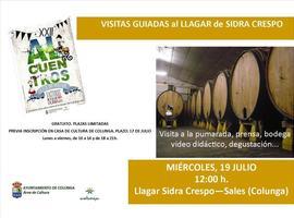 Visita guiada al llagar Crespo, en Colunga