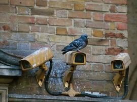 C´s pide la instalación de cámaras de seguridad en zonas de ocio nocturno de Gijón