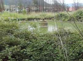 Piden desmantelar la depuradora de la antigua factoría de CLAS en Villaviciosa