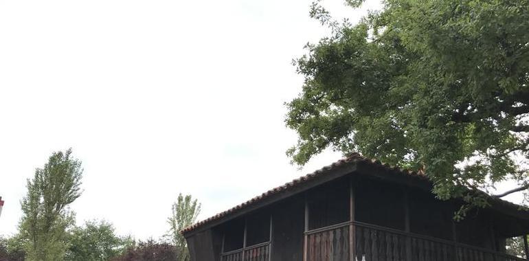 Raquel Fernández Menéndez gana el XI premiu de rellatos nasturianu LHorru del Carbayedo