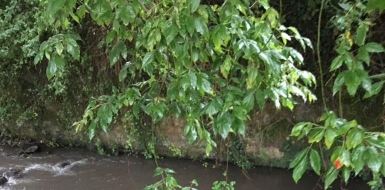 El ayuntamiento de Corvera sancionado por vertidos al río Arlos