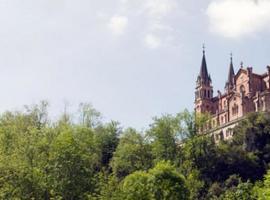  ARES:  Reservistas de varias Comunidades harán Oviedo-Covadonga para honrar a la Santina