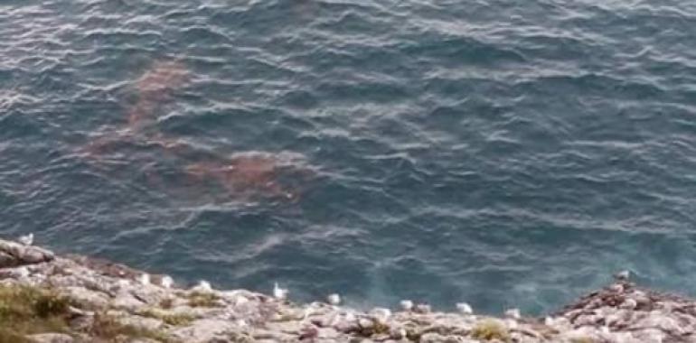 La Coordinadora Ecoloxista denuncia vertidos de aguas residuales en Llanes