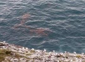La Coordinadora Ecoloxista denuncia vertidos de aguas residuales en Llanes