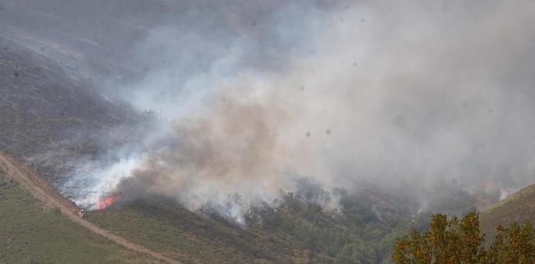 Más de 300 efectivos trabajan en la extinción del incendio forestal de Losadilla