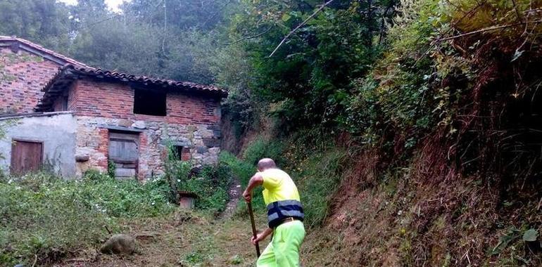 Llanes actúa en la limpieza de Naves, Ricaliente, Posada, Teyeu, Llumedián y Celoriu