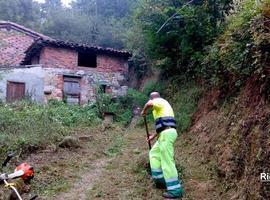 Llanes actúa en la limpieza de Naves, Ricaliente, Posada, Teyeu, Llumedián y Celoriu