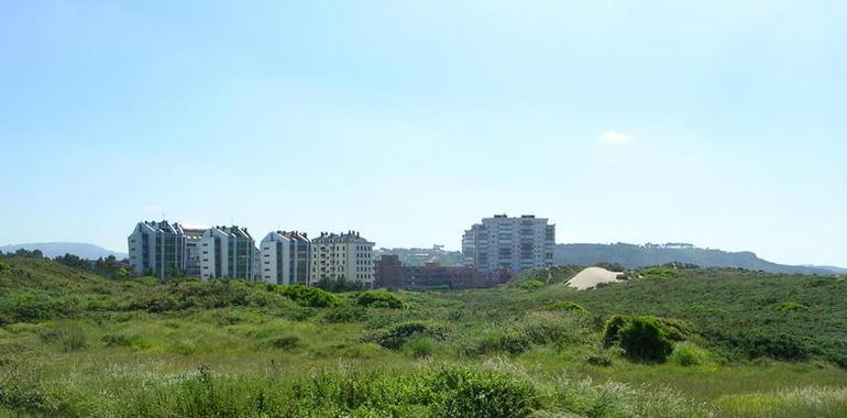 El Colectivo Ecologista de Avilés contra la construcción de viviendas en el Espartal