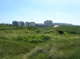 El Colectivo Ecologista de Avilés contra la construcción de viviendas en el Espartal