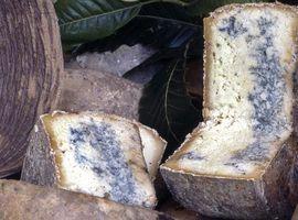 Fernando Corral será el pregonero del XXXVIII Certamen del Queso de Gamoneu