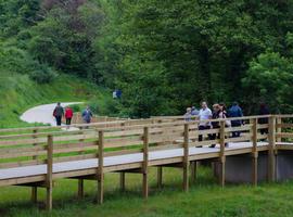 Avilés: Nueva luz para la senda peatonal del Río Magdalena