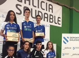 Medallas y éxitos para el Bádminton Oviedo en Galicia, Polonia y Bélgica