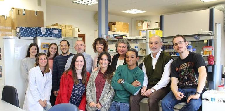 Investigadores de UniOvi y OMA logran detectar especies invasoras en puertos y estuarios mediante el ADN