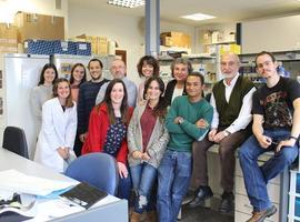 Investigadores de UniOvi y OMA logran detectar especies invasoras en puertos y estuarios mediante el ADN