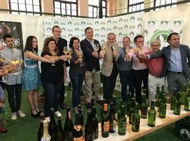 Año histórico para la DOP Sidra de Asturias con más variedades de manzana y lagares