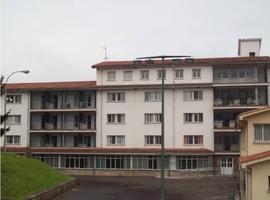 Llamazares reclama una unidad terapéutica y educativa para el centro de menores de Sograndio