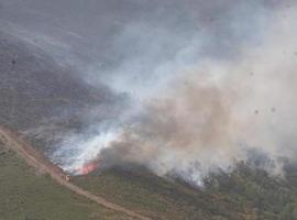 Asturias activa el INFOPA ante las altas temperaturas y viento sur