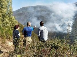 Podemos: Frenar los incendios requiere invertir para cuidar el monte