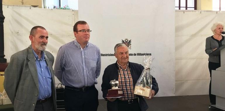 Villaviciosa: La meyor Mazana de Sidra DOP para El Gaitero