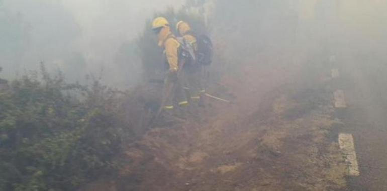 Declarado INFOPA 1 para los incendios de Ibias y Degaña