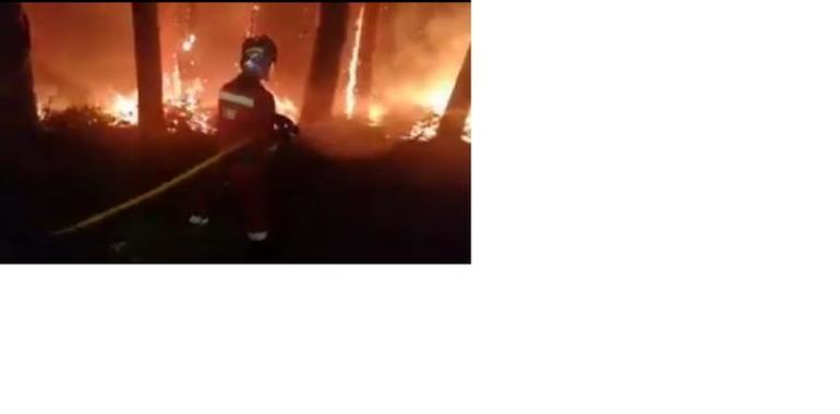 Feijóo pide colaboración ciudadana ante la actividad incendiaria homicida