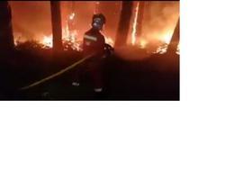 Feijóo pide colaboración ciudadana ante la actividad incendiaria homicida