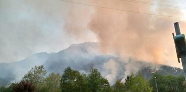 EQUO Asturies exige una lucha decidida y firme contra el fuego