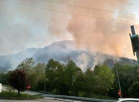 EQUO Asturies exige una lucha decidida y firme contra el fuego