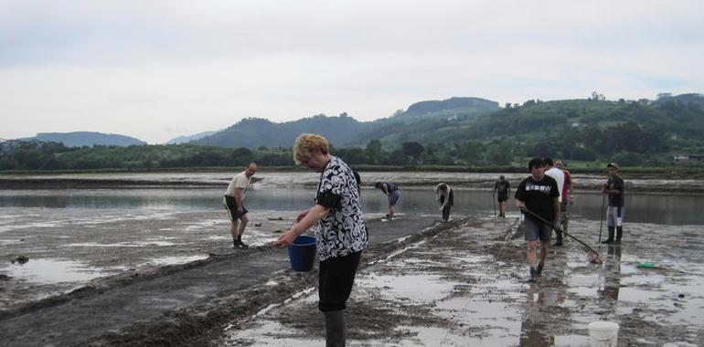 Siembra de 65 mil amasueles fines en la Ría de Villaviciosa
