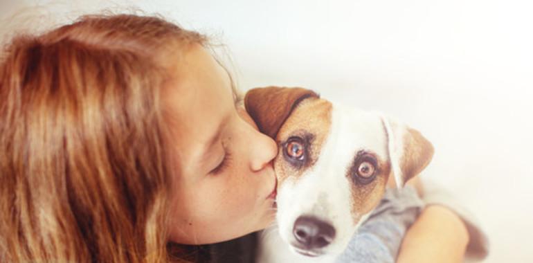 Los perros gestualizan para comunicar con los humanos