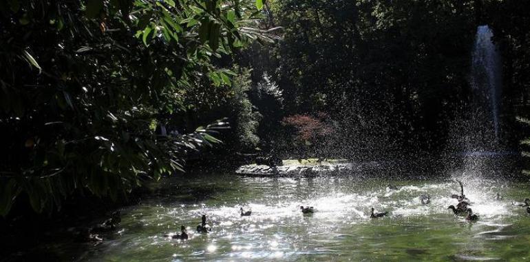 28 patos más para el Campo San Francisco de Oviedo