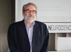 Una hormona sexual tiene efectos protectores sobre las neuronas