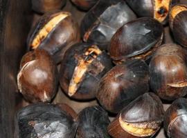 Gran Amagüestu en Gascona el 12 de noviembre